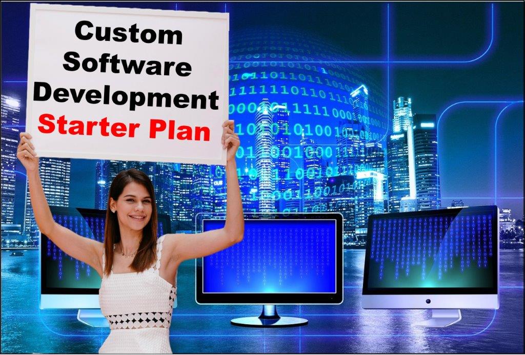 custom software development services in Juneau Alaska