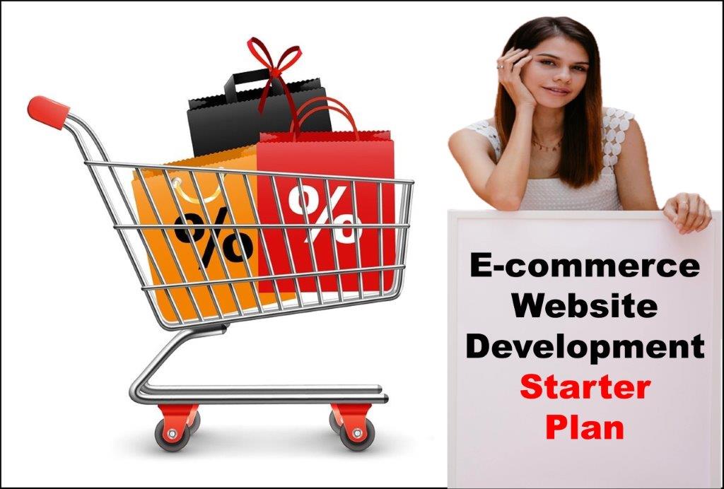 ecommerce website development agency in Juneau Alaska