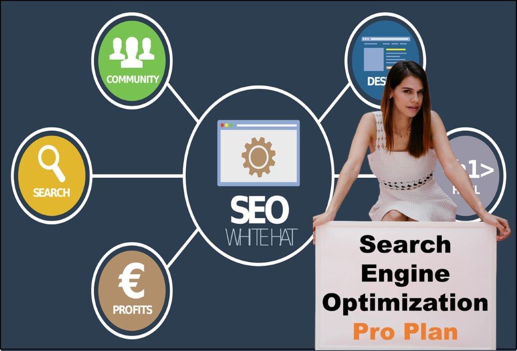 seo company Juneau Alaska