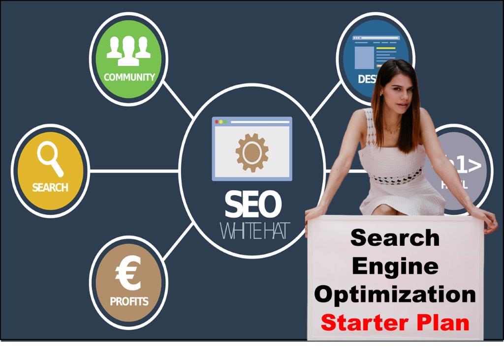 seo service provider in Juneau Alaska