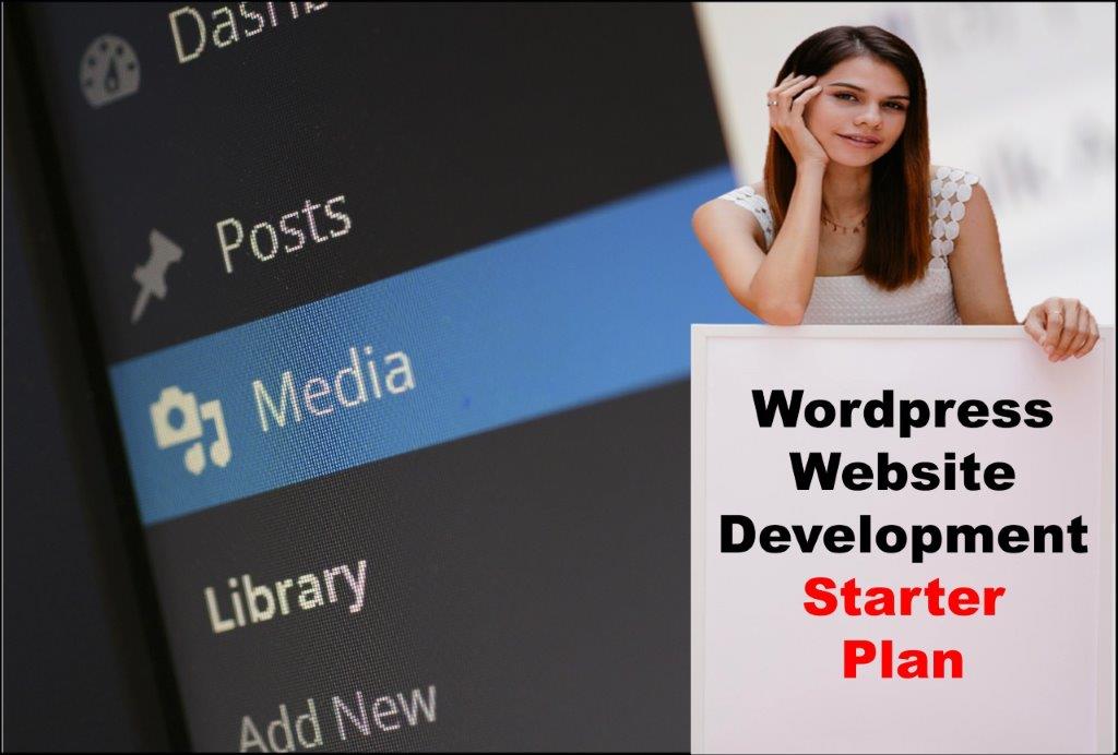 wordpress website development agency in Juneau Alaska